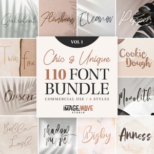 Chic und einzigartig 110 Schriften Bundle Vol 1, Handgeschriebene Schriftsammlung, Schreibschrift, Brush Fonts, Kalligraphie, Cricut, Procreate, Hochzeitsschrift