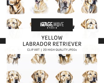 Gele labrador retriever, 20 hoge kwaliteit jpg's, aquarel hond clipart, tekening, planner, mokken, kleding, junk Journal, Digital Paper Craft