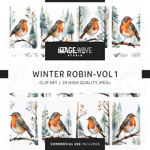 Winter Robin Vol 1, 24 fichiers JPG de haute qualité, agenda numérique, journaux indésirables, art mural, vêtements, usage commercial - téléchargement numérique