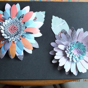 Fiore, A5, personalizzazione, modelli unici, tutte le occasioni