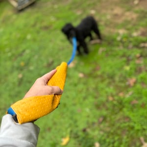 Dog leash accessory that protects your wrist from rope burn and strain!