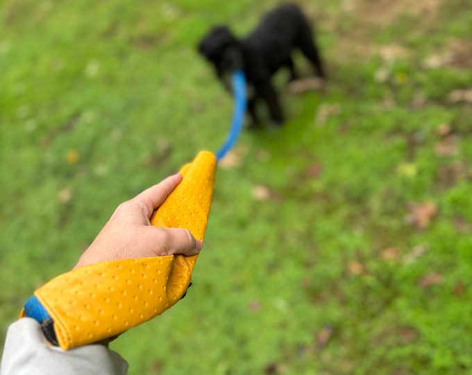 Dog leash accessory that protects your wrist from rope burn and strain!