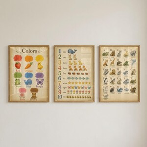 Set van 3 educatieve posters, muurdecoratie voor de speelkamer, kinderkamerdecoratie - Direct te downloaden afbeelding 8