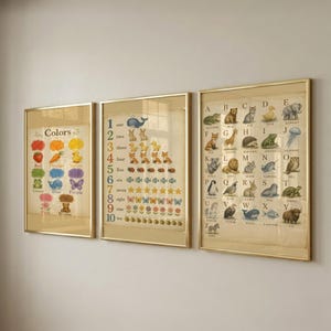 Set van 3 educatieve posters, muurdecoratie voor de speelkamer, kinderkamerdecoratie - Direct te downloaden afbeelding 1