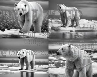 Op de afbeelding: Zwart-wit afbeelding van een ijsbeer in zijn natuurlijke habitat. De beer staat op ijs, met water en een bewolkte lucht op de achtergrond. De afbeelding is een collage van vier verschillende opnames van de beer.