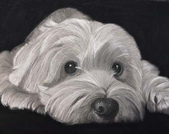 Commissioned A3 portrait with black and white pastel pencils