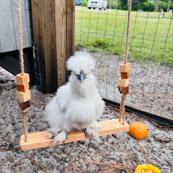 Personalized Chicken Swing Toy for Coop-Chicken Swing Handmade-Chicken Coop accessories-Roost Bar toy-Farmers Gift-Wooden Chicken Gym Custom