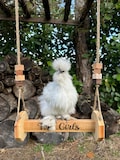Custom Engraved Chicken Swing: Hardwood Coop Perch, Chicken Playground
