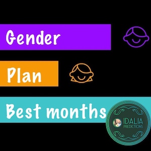 Può includere: Una grafica con le parole "Gender Plan" e "Best Months" in testo bianco su uno sfondo viola, arancione e turchese. La grafica include anche un'immagine stilizzata di una testa di persona con un sorriso.