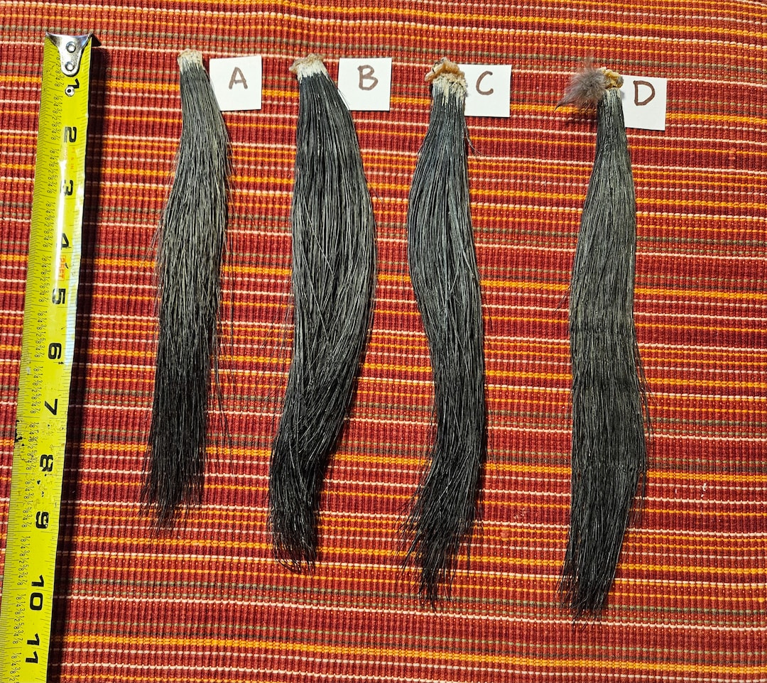 Eastern Wild Turkey Beards From Door County Wisconsin Etsy