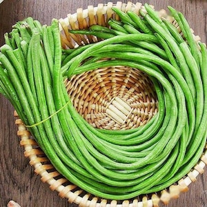 60pcs+ Yardlong Bean Seeds, Asian Long Bean String Bean Seeds 豇豆/长豆角种子