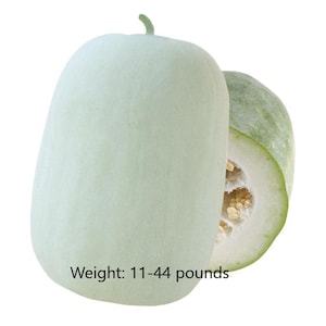 50pcs+ Wax Gourd Seeds, White Ash Gourd Seeds, Winter Melon Seeds, 粉皮冬瓜种子