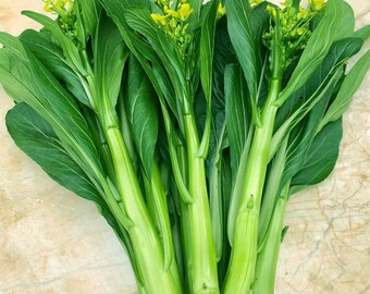 5gram Sweet Yu Choy Sum Seeds, Chinese Flowering Cabbage seeds, Choi Sum Seeds