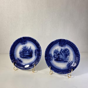 Antique Flow Blue Plate India Pattern Bird Peacock 1800s English Pottery 18cm