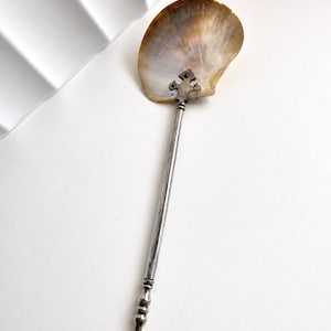 Pode incluir: Uma colher longa e fina de metal prateado com um cabo de segmentos arredondados decorativos e uma união em forma de cruz que liga a uma taça larga, translúcida e em forma de leque, feita de concha natural iridescente castanha e creme.