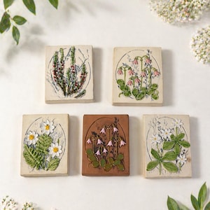 May include: Five square ceramic tiles with botanical designs. The tiles feature raised relief images of flowers and plants in various colours, including pink, white, green, and brown. The tiles are arranged on a white surface with floral accents.