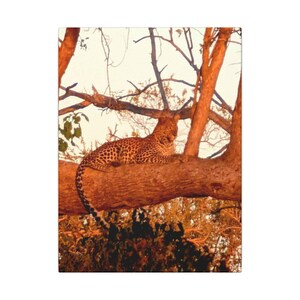 Leopard Canvas Print, Wildlife Wall Art, Home Decor, Nature Lover Gift, Animal Photography, Jungle Decor