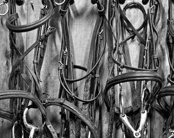 Impression photo de harnais de cheval : décoration de ferme rustique (téléchargement numérique)