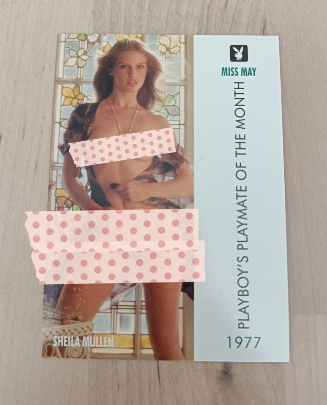 Sheila Mullen Collector's Card N 72 Playboy Miss May May 1977 Trading
