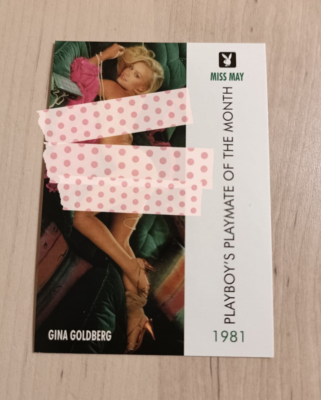 Gina Goldberg Collector's Card N 84 Playboy Miss May May 1981 Trading Card 1995 6.4x8.9 Cm - Etsy