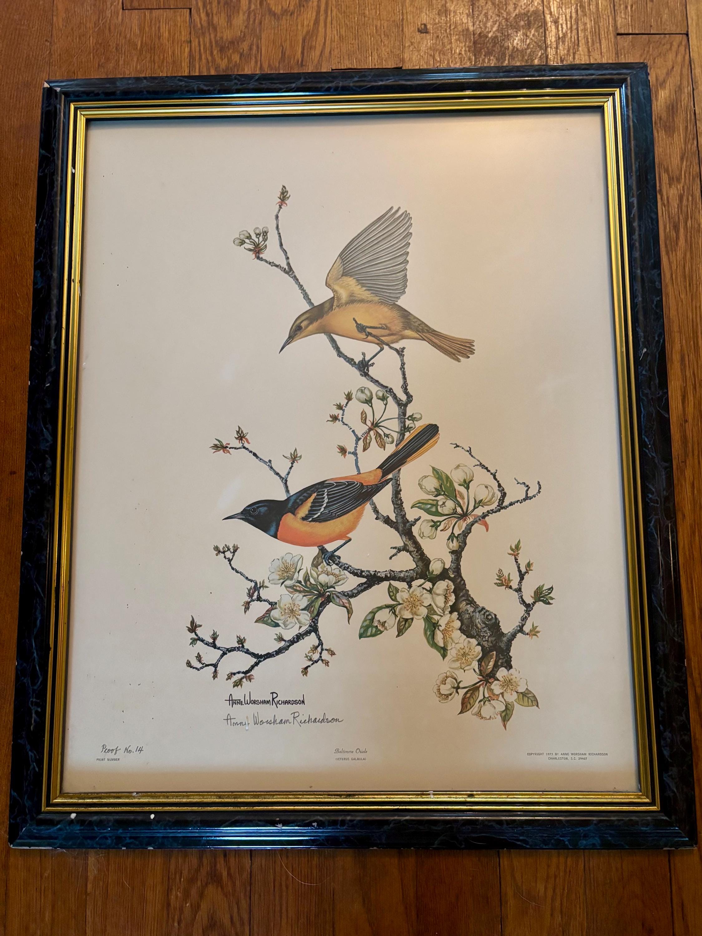 Vintage, Signed, Numbered, Limited Edition 1973 Baltimore Oriole