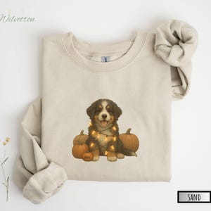 May include: Sand-colored sweatshirt featuring a cute puppy with a string of lights around its neck, sitting in front of three pumpkins. The puppy has brown and white fur. The word "Wilwcotton" is in the upper left corner.