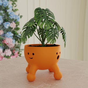 Peut inclure: Pot de fleurs orange avec un visage souriant et un visage surpris, avec quatre pieds. Une plante verte aux grandes feuilles pousse dans le pot.