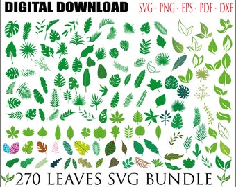 270 leaves svg bundle , leaf svg, paper flower leaves svg, tropical leaves svg, leaf templates svg, botanical svg, monstera svg png dxf