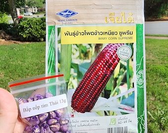 May include: A packet of purple waxy corn seeds called "Bắp nếp tím Thái" with a 13g weight. The packet is next to a larger packet of seeds for "Waxy Corn Supreme" with a red ear of corn on the front. The text on the larger packet is in Thai.