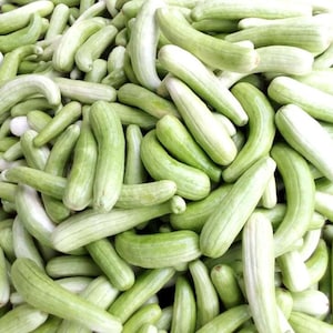 Vietnamese green melon seeds - Pickling melon - Dưa gang xanh miền Trung ( Dưa làm mắm, nấu canh....)