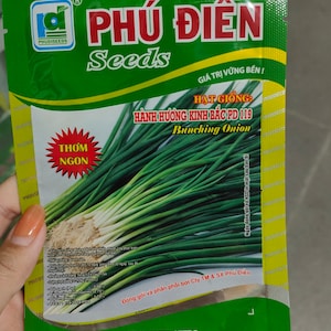 Asian herb - Onion seeds - Vietnamese Green onion - hành hương bắc