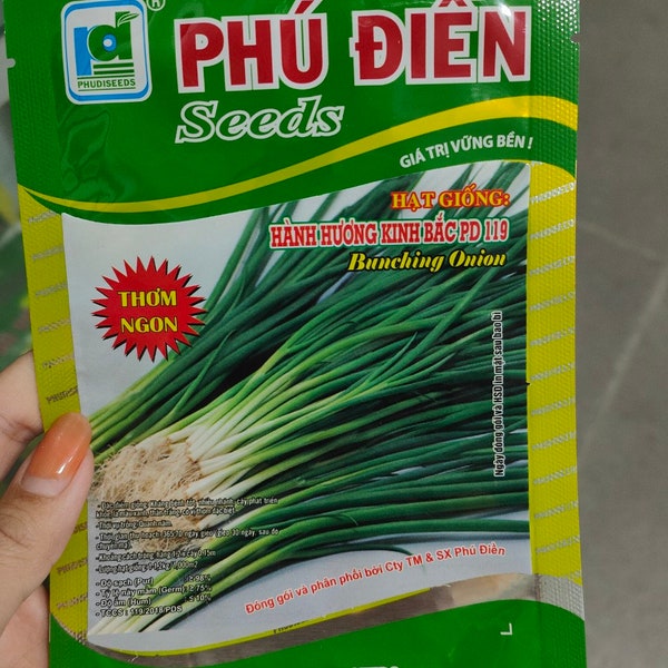 Asian herb - Onion seeds - Vietnamese Green onion - hành hương bắc