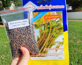 Thailand Red Kang Kong, Water Spinach, Convolvulus Seeds, Rau Muống đồng cọng tím - Rau muống tím siêu giòn