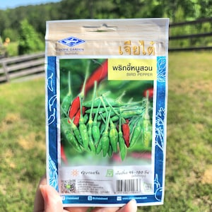 THAILAND PEPPERS - Bird pepper seeds - Ớt xiêm Thái ( ớt khí nủ)