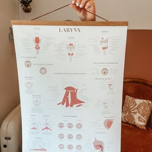 Larynx Poster for Voice Professionals I DIGITAL