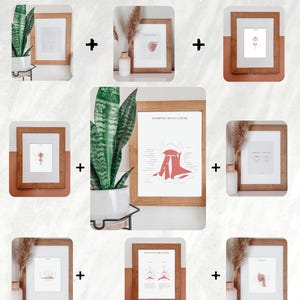 Voice Anatomy Posters Set of 9 I DIGITAL for voice professionals