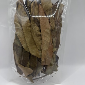 Peut inclure: Un sac en plastique transparent rempli de feuilles brunes séchées. Les feuilles sont longues et pointues, avec des nuances de brun et de beige. Le sac est scellé et posé sur un fond blanc.