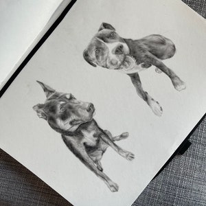 Two pet charcoal portrait