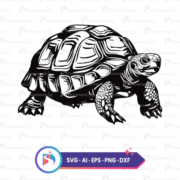 Tortoise vector illustration, sea turtle design, svg, best for print on demand, commercial use, instant download.