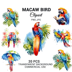 Watercolor Tropical Macaw Bundle, Macaw Watercolor Clipart set, Macaw Clipart PNG, Sublimation,  Printable Digital Download.