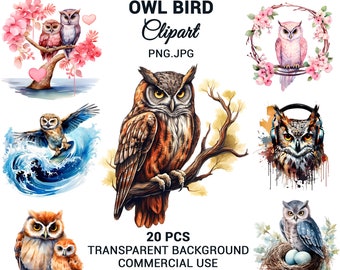 Watercolor cute owl clipart, Owl bundle, Cute Owl Png, Sublimation, Digital Paper Craft, Wall Art, Commercial Use.