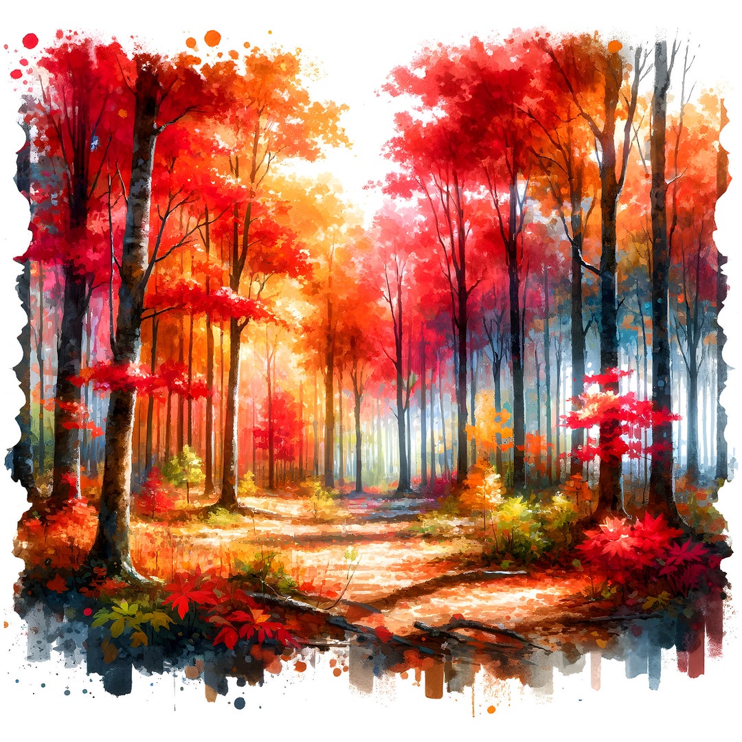 10 Cute Forest Clipart Bundle, High Resolution Png Jpg Files,art for ...