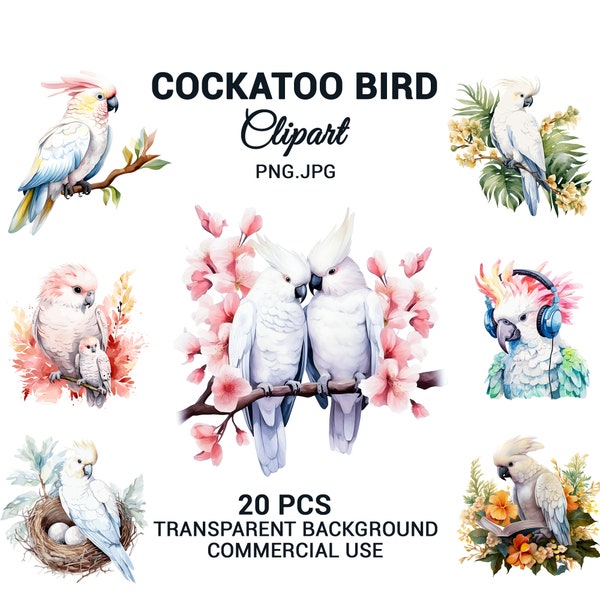 Colorful Watercolor Cockatoo Bundle Clipart, Cockatoo PNG, Cockatoo Illustrations, Wall Art,  Transparent Background, Commercial Use.