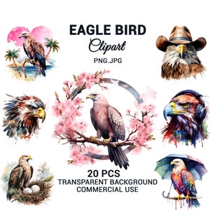 Aquarell Weißkopfseeadler Clipart Bundle, Kindergarten Clipart, Adler PNG, Kartenherstellung, Kindergarten, Sublimation Handwerk, Wandkunst, kommerzielle Nutzung.