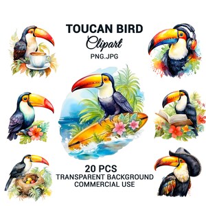 Watercolor Toucan Clipart, Toucan bundle, Nursery Clipart, Toucan PNG, Wildlife, Card Making, sublimation Craft, Wall Art, Commercial Use.