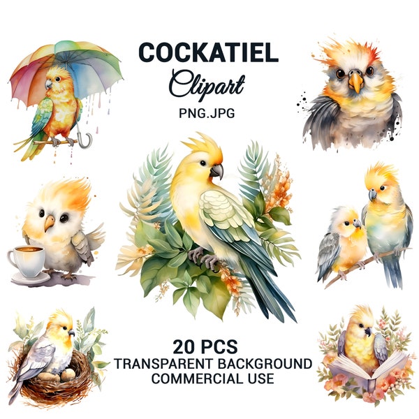 Watercolor cockatiel bundle, Cute cockatiel clipart, cockatiel png, Nursery Decor, sublimations, Wall Art, commercial use.