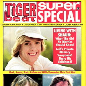 Tiger Beat + 9 carteles 8x10 Revista Super Special 1978 Descarga digital PDF vintage: Shaun Cassidy, Leif Garrett, Scott Baio, Willie Aames