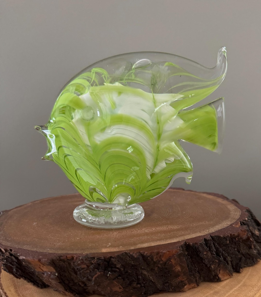Green Glass Fish main image 0