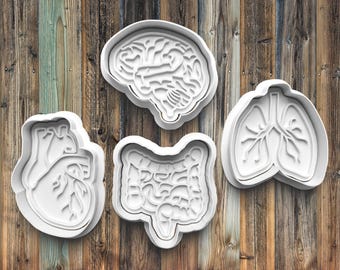 May include: Four white plastic cookie cutters shaped like human organs: a brain, heart, intestines, and lungs. The cutters are arranged on a wooden background with vertical planks of varying colors.