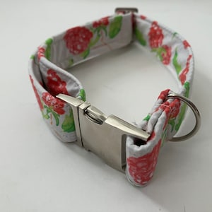Raspberries Petplay Collar